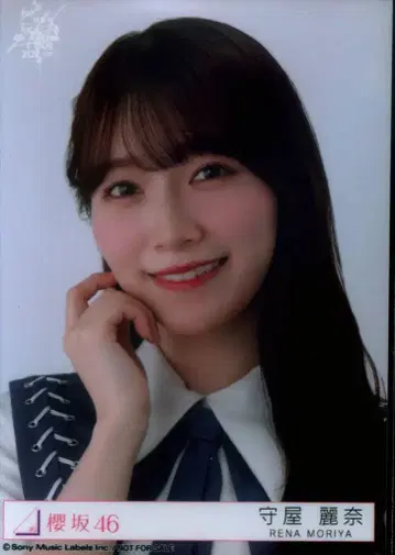 사쿠라자카46 자업자득 모리야 레이나 예약 특전 브로마이드 도쿄돔
