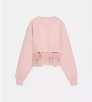 zara 크롭 기장 레이스 콤비 스웨트 셔츠