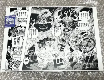 ONE PIECE ALL PAGES 베이스샵 루피 로우 키드
