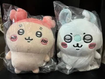 모몽가 헌책방 뽀떼따마