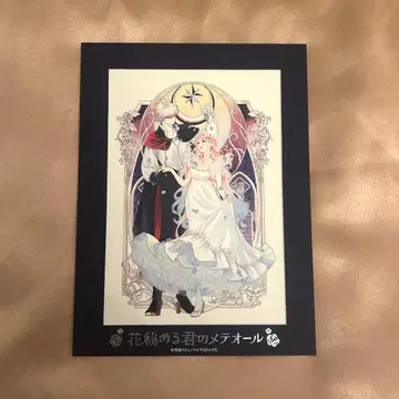 꽃 숨기는 너의 메테올 페이버릿 포트레이트 B