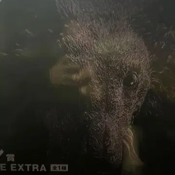 제일복권 라스트 원상 미케 MASTERLISE EXTRA