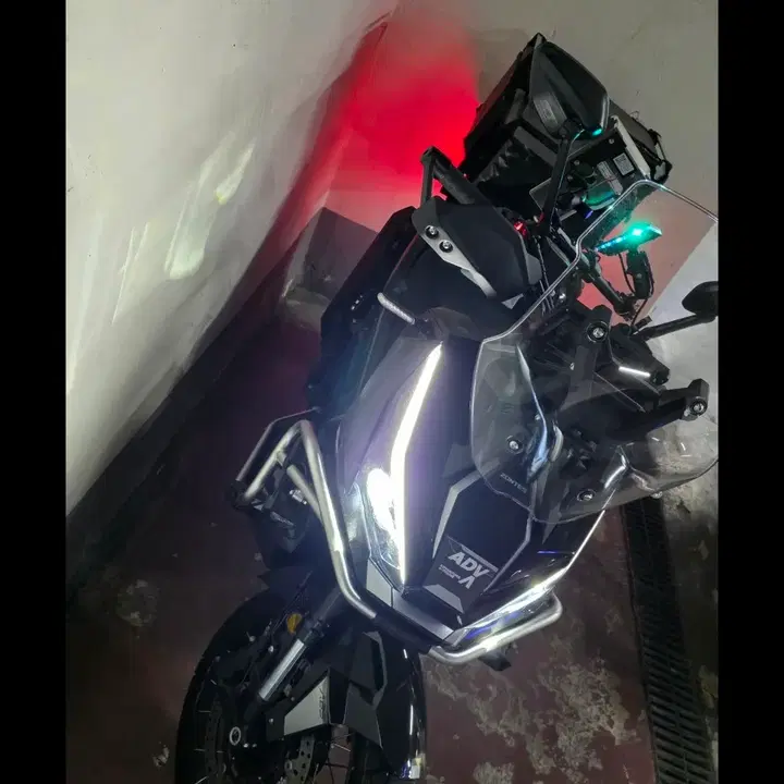존테스 368g 새상품 급 팝니다