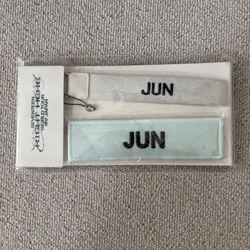 준 JUN 와펜 seventeen RIGHT HERE 스트랩