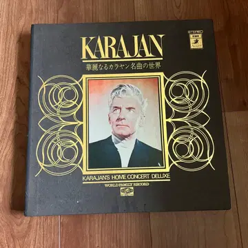 KARAJAN HOME CONCERT DELUXE 레코드