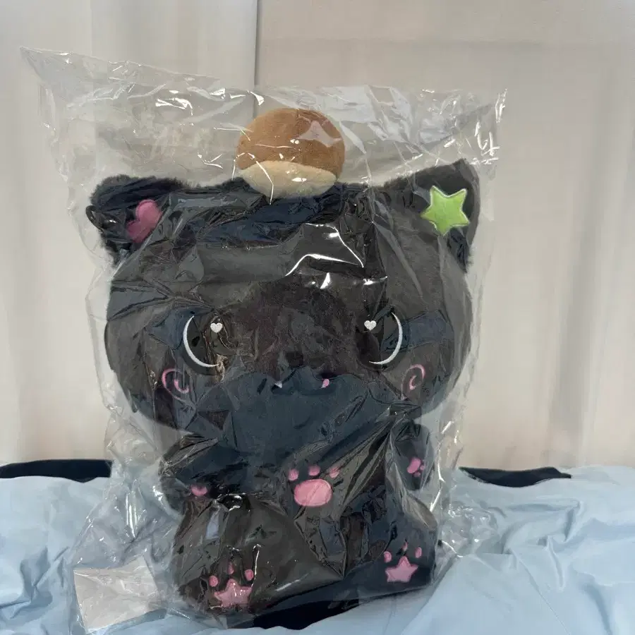NCT wish riku Kuri doll WTS | Bunjang Global