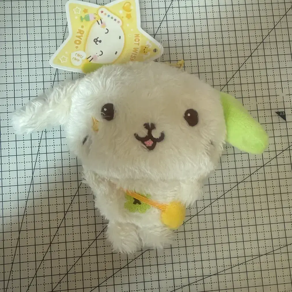 In Stock) NCT Wish Wishdoll Ryo Doll RyonRyon wts | Bunjang Global