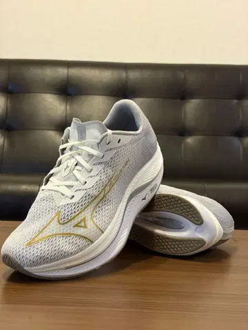 MIZUNO WAVE REBELLION FLASH 2 러닝