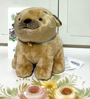 KUROIKEN EHON HOUSE 코로완 봉제 인형