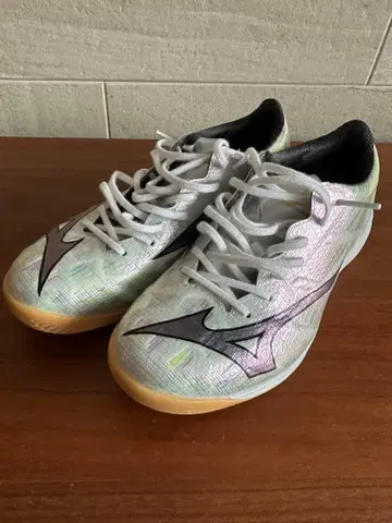 MIZUNO alpha2 미즈노알파2 (24.0)