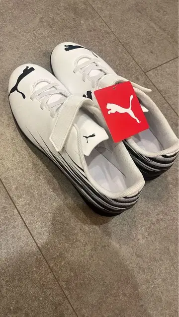 PUMA TT V JR 축구화 24.0 CM