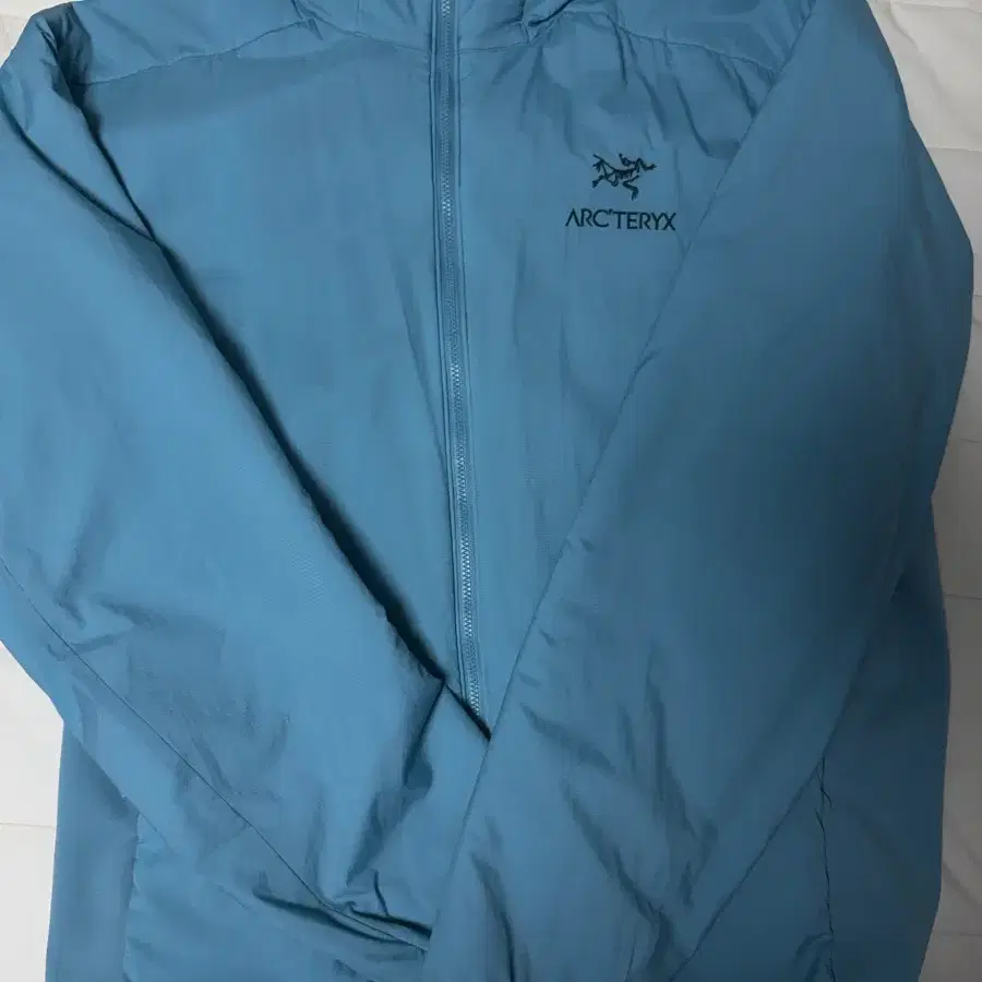 Arc'teryx Beta LT Jacket Solace Size L | Bunjang Global