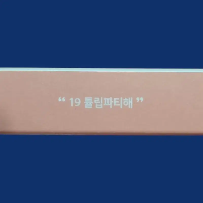 2704 단종템 미개봉 페리페라 맑게 물든 선샤인 치크 19.튤립파티해