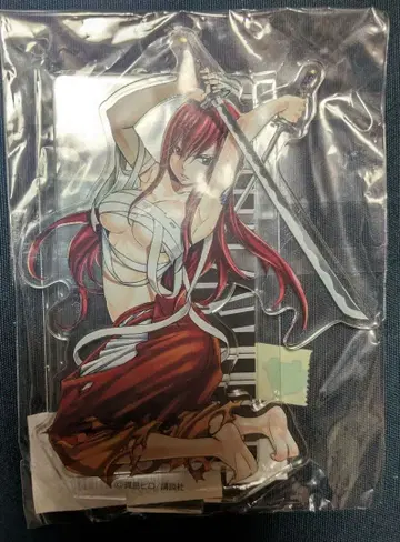 FAIRY TAIL 페어리 테일전 아크릴 피규어 엘자