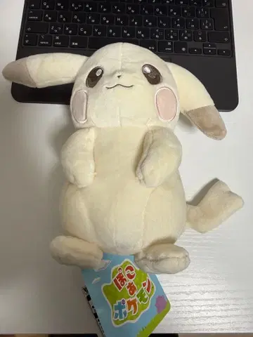 포코아 포켓몬 포켓몬 센터 옅은색 피카츄 봉제 인형 일본 판매
