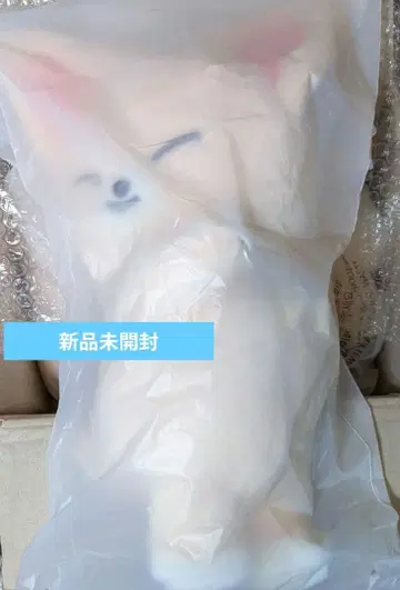 스키즈 팝업 SKZOO PLUSH BAG FoxI.Ny