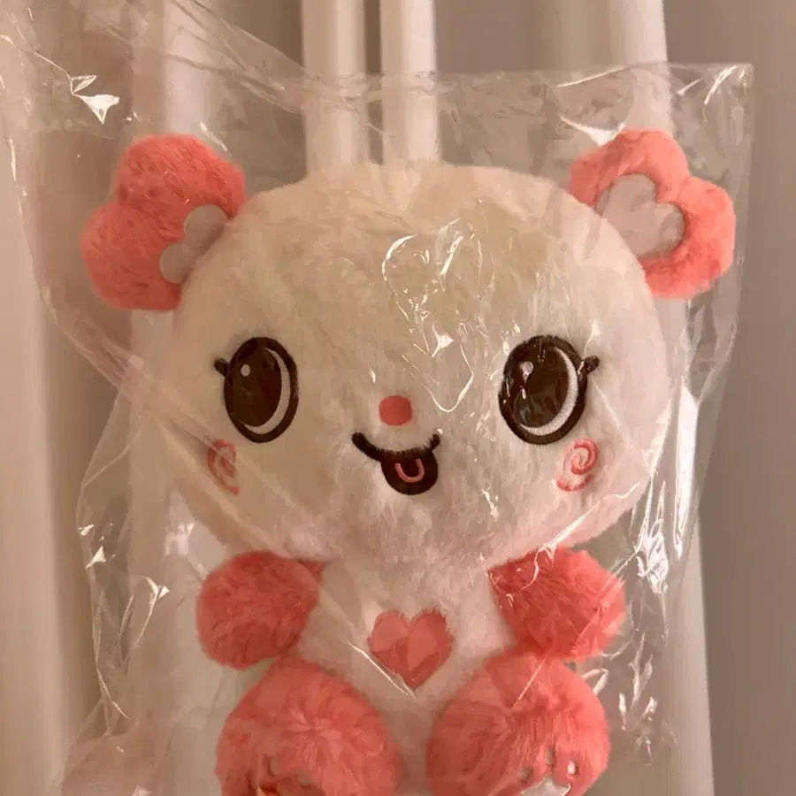Pangi Wish Doll Bag Sakuya NCT Wish | Bunjang Global