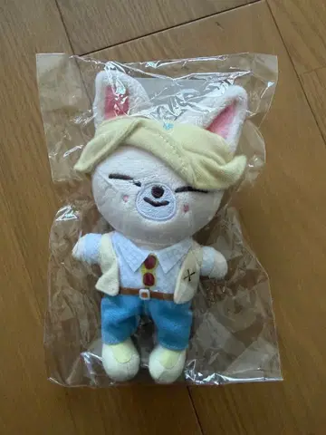 straykids skzoo 폭시니 아이엔 백참