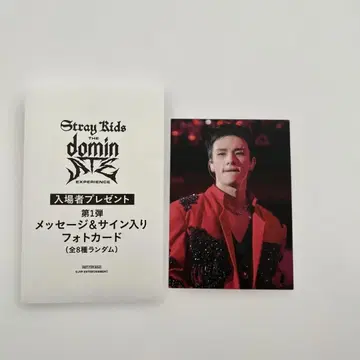 straykids 현진 dominATE 영화 입장 혜택 포토 카드