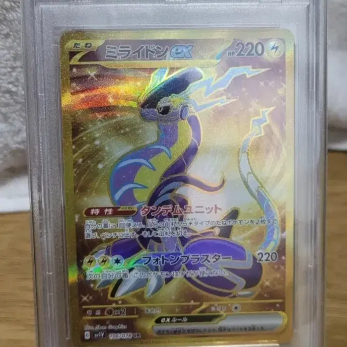 Pokemon Card Miraidon PSA 10 | Bunjang Global