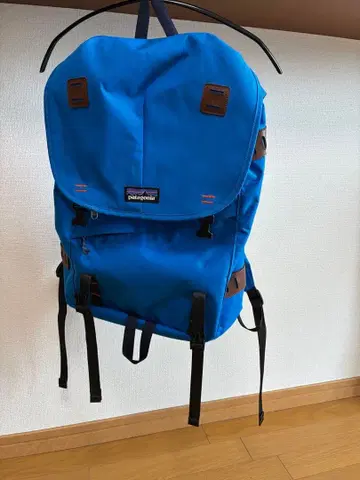Patagonia 파랑 백팩