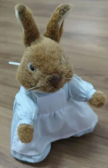 요시토쿠 피터 래빗 엄마