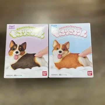 말랑말랑 굴러다니는 코기 2종 세트