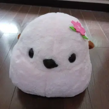 시마연가 봉제 인형 핑크