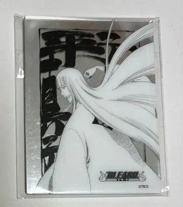 BLEACH 블리치 메탈릭 마그넷 컬렉션 히라코 신지