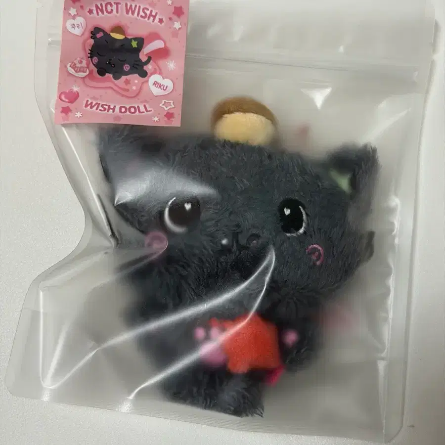 NCT wish riku Kuri doll WTS | Bunjang Global