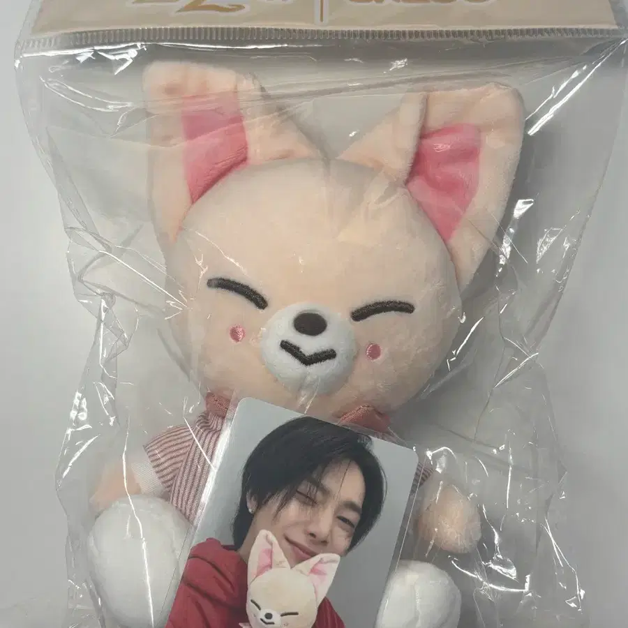 Stray Kids Skzoo Magicschool Foxy-ni doll | Bunjang Global