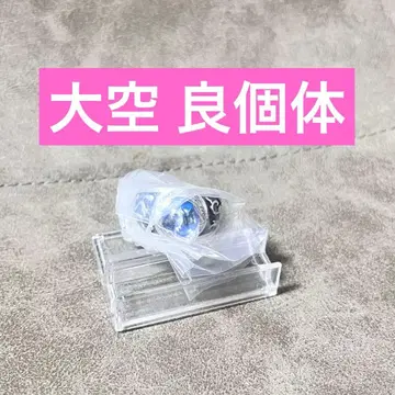 [양개체] 제일복권 리본 F상 봉고레 반지 하늘
