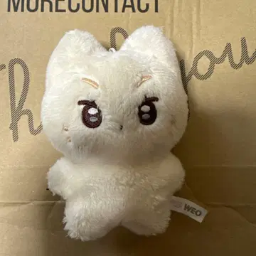 enhypen 정원 봉제 인형 10cm 마스터