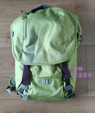 OSPREY 백팩/럭색 그린