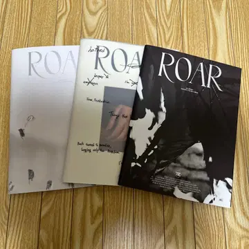 ROAR THE BOYZ 3권 세트