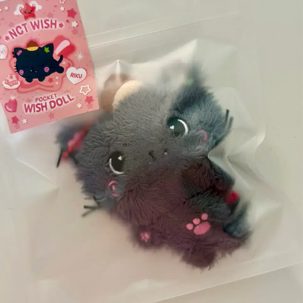 Nct Wish Riku Wish Doll Kuri Doll First Edition | Bunjang Global