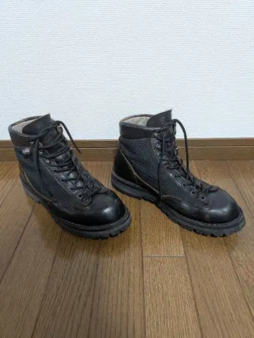 Danner Light 33222 US8 EE