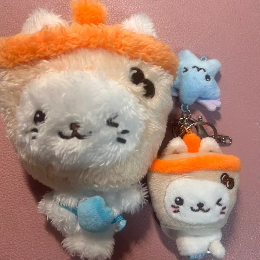 Nct Wish YuuShi Bubble Cat First Edition Original | Bunjang Global