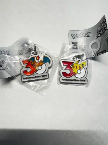 포켓몬 30주년 메탈 참