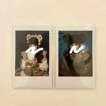 iLiFE! 코구마 마무 생일 기념 런 폴라로이드 세트 판매