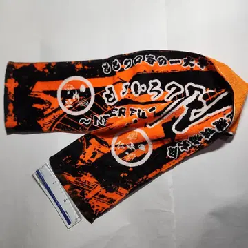 모모이로 클로버 Z 모모클로 봄의 대사건 2014 국립 경기장 대회