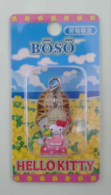 지역 한정 키티 보소 한정판