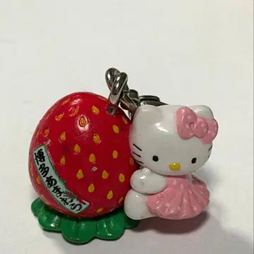 지역 한정 키티 스트랩