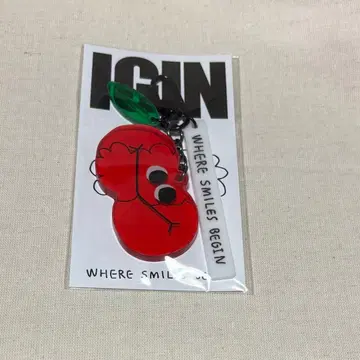 IGIN 아크릴 키링 BTS JIN 키링 진 아이긴