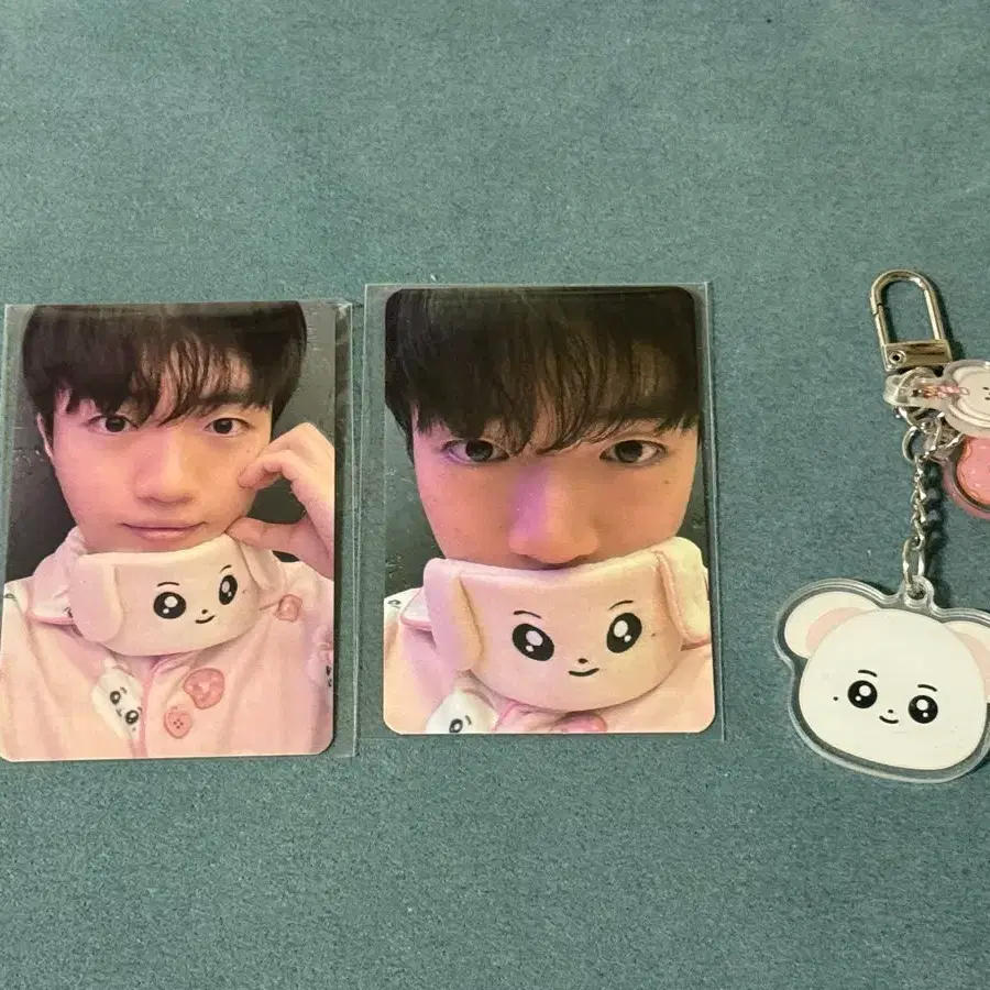 T1 Birthday Kit Photocard | Bunjang Global