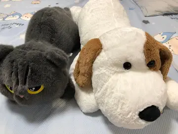 개와 고양이 봉제 인형 2세트 뽑기 게임 봉제 인형