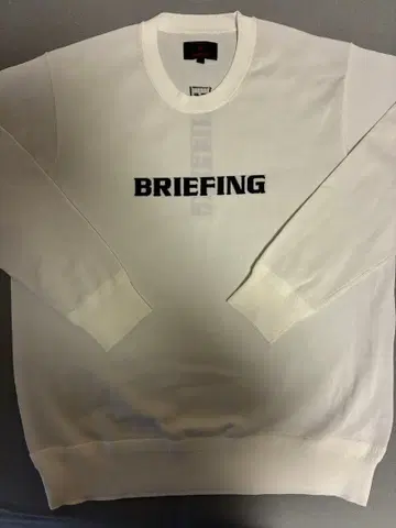 BRIEFING 크루넥 니트 BRG261M14 XL