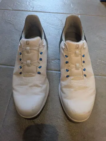 FootJoy 골프화