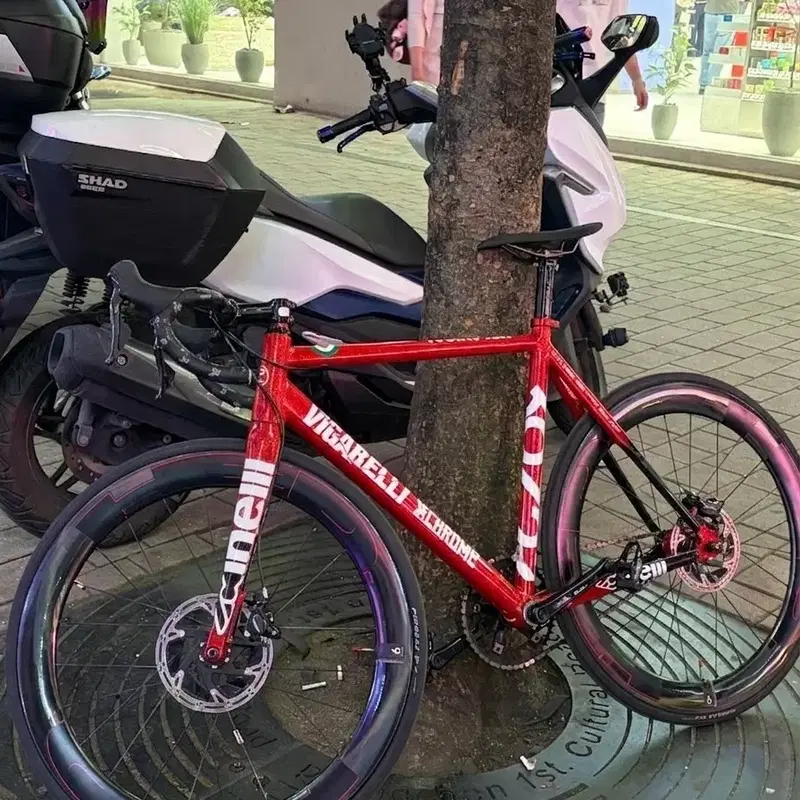 치넬리 비가렐리 비고렐리 m 완차 반차 프셋