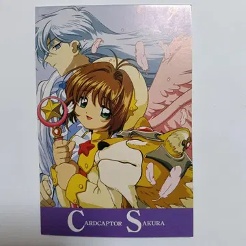 카드캡터 사쿠라 엽서 2000 Animage 6월호 제1 부록